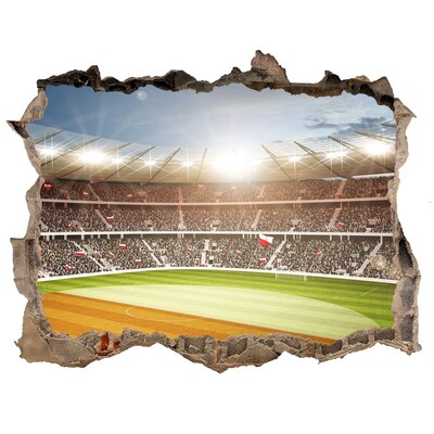 Fototapeta dziura na ścianę 3d Stadion w akcji