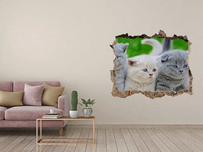 Vinilo pared rota 3d efecto realista Gatitos en un agujero en la pared