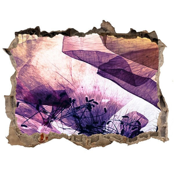 Vinilo pared rota 3d efecto realista El mundo floral detrás de las paredes