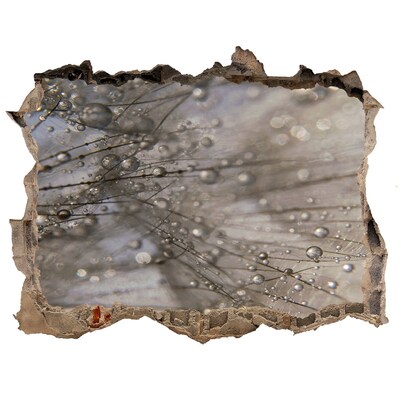 Pegatina agujero en la pared autoadhesiva Gotas de agua sobre el vidrio