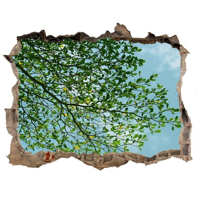 Pegatina de vinilo agujero 3d para pared Hojas verdes bajo un cielo azul