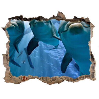 Trampantojo de pared rota efecto profundidad Mundo submarino con delfines