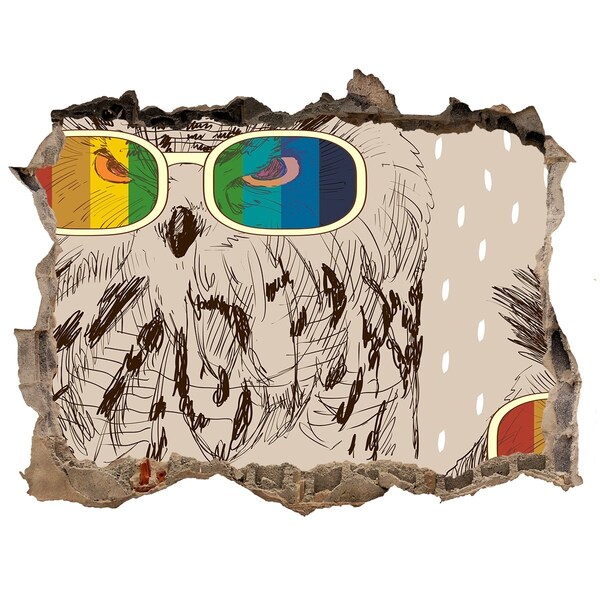 Dziura 3d fototapeta naklejka Oko sowy w dziurze w ścianie