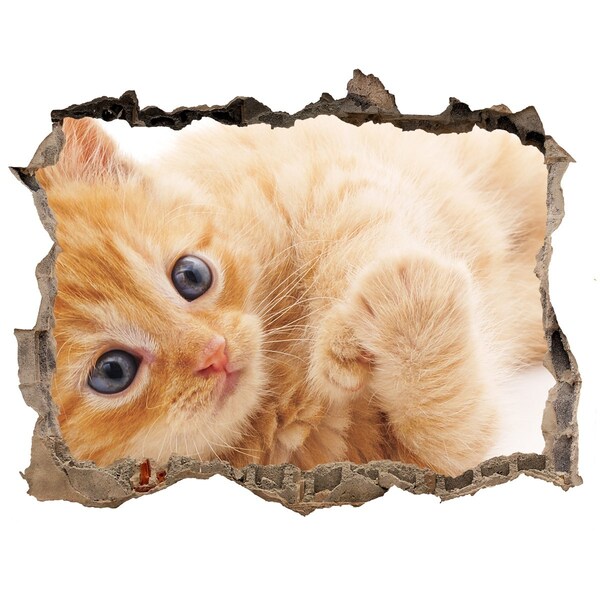 Pegatina agujero en la pared autoadhesiva Gato en un agujero en la pared