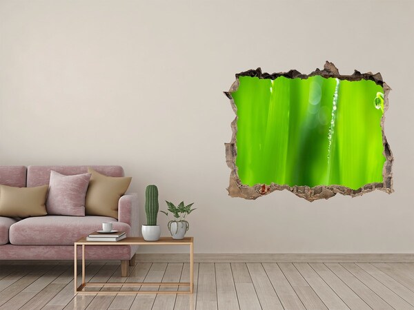 Vinilo pared rota 3d efecto realista Prado verde con gotas de agua