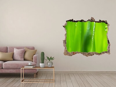 Vinilo pared rota 3d efecto realista Prado verde con gotas de agua
