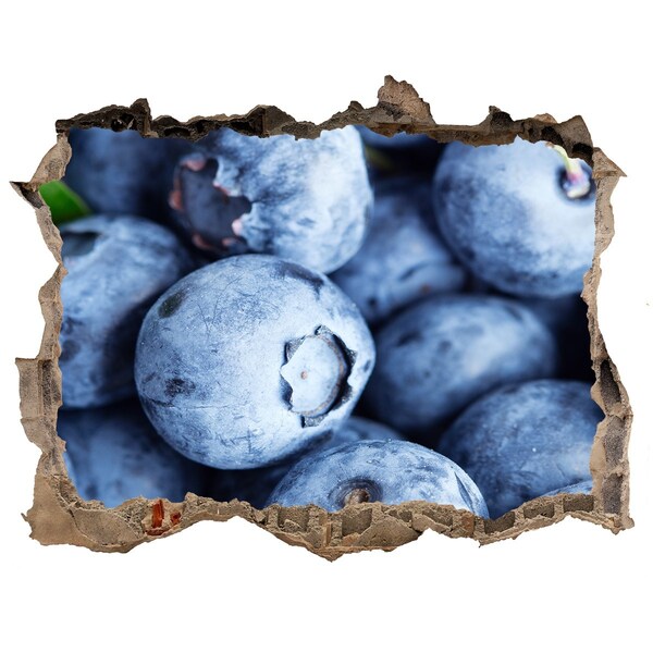 Pegatina de vinilo agujero 3d para pared Bayas en un agujero de hormigón