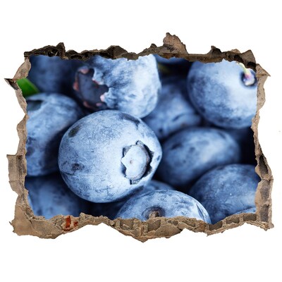 Pegatina de vinilo agujero 3d para pared Bayas en un agujero de hormigón