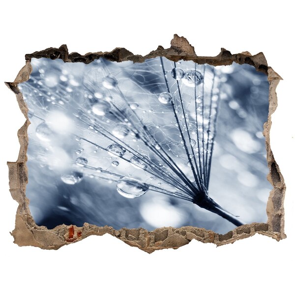 Trampantojo de pared rota efecto profundidad Gotas de rocío sobre un diente de león