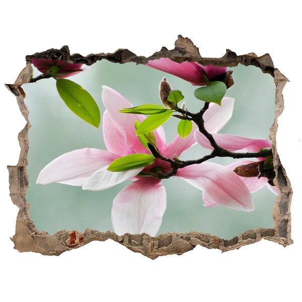 Pegatina de vinilo agujero 3d para pared Flores de magnolia en una pared dañada