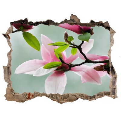 Pegatina de vinilo agujero 3d para pared Flores de magnolia en una pared dañada
