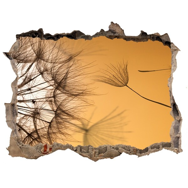 Trampantojo de pared rota efecto profundidad Un agujero en la pared con delicados motivos vegetales