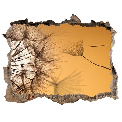 Trampantojo de pared rota efecto profundidad Un agujero en la pared con delicados motivos vegetales