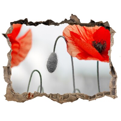 Samoprzylepna naklejka na ścianę fototapeta Kwiaty w dziurze w ścianie