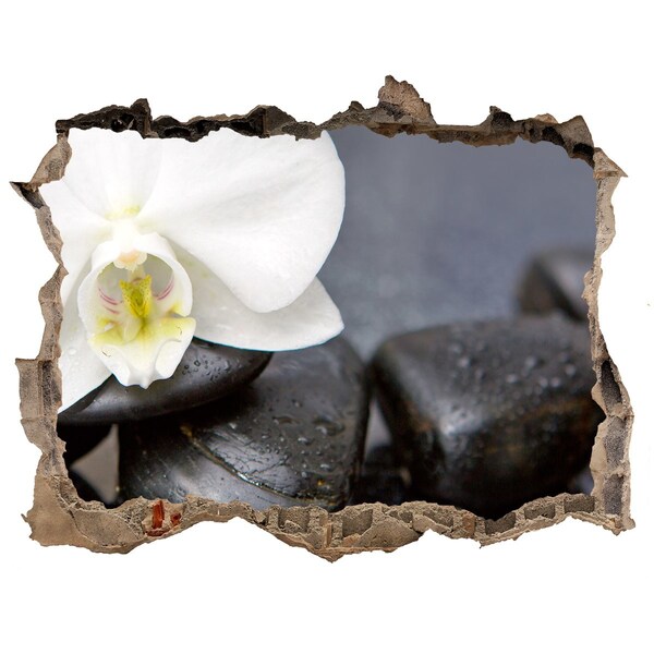 Pegatina de vinilo agujero 3d para pared Flores y piedras en el spa