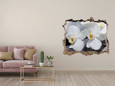 Trampantojo de pared rota efecto profundidad Orquídeas en hormigón