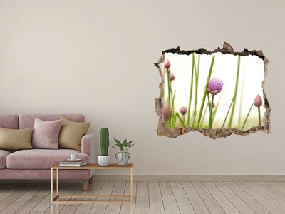 Vinilo pared rota 3d efecto realista Jardín de flores a través de un agujero en la pared