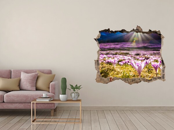 Trampantojo de pared rota efecto profundidad Un campo de flores bajo el sol