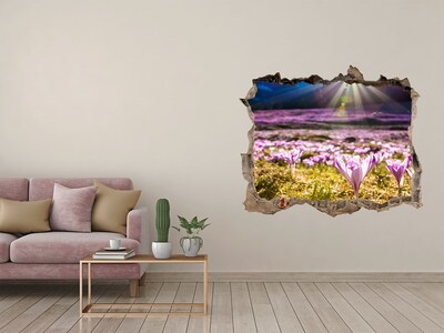 Trampantojo de pared rota efecto profundidad Un campo de flores bajo el sol