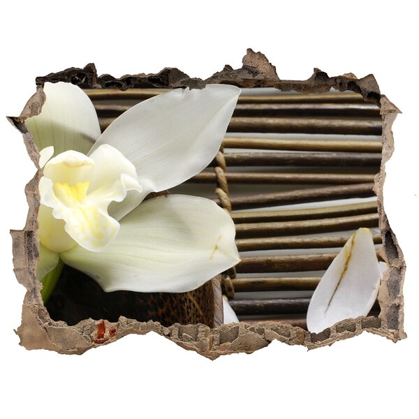 Fototapeta naklejka na ścianę Kwiatowa oaza wśród kamieni