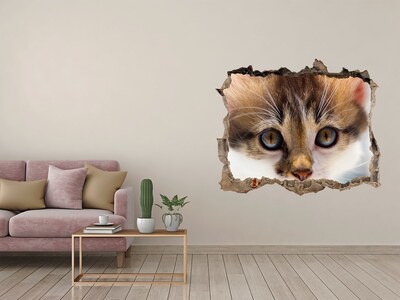 Pegatina de vinilo agujero 3d para pared Gato en un agujero en la pared