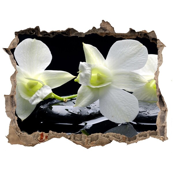Vinilo pared rota 3d efecto realista Flores y piedras en estilo zen