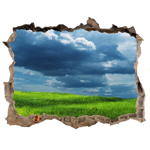 Pegatina de vinilo agujero 3d para pared Prado verde bajo las nubes