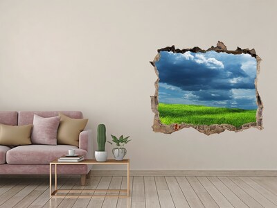 Pegatina de vinilo agujero 3d para pared Prado verde bajo las nubes