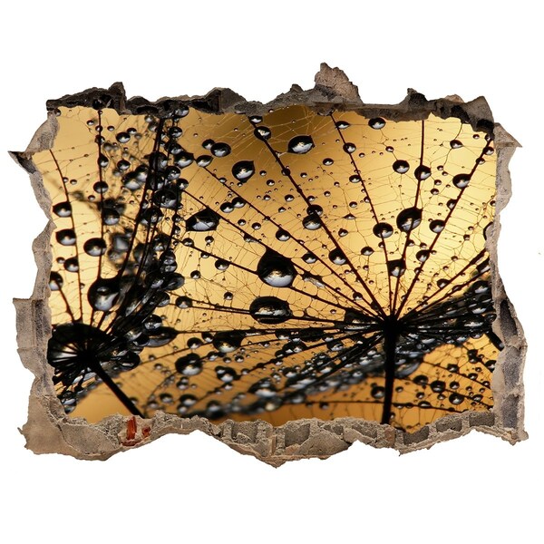 Samoprzylepna naklejka na ścianę Krople na liściach