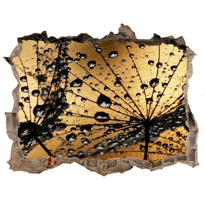 Samoprzylepna naklejka na ścianę Krople na liściach