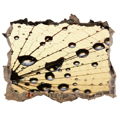 Pegatina de vinilo agujero 3d para pared Gotas de agua en el ala de una mariposa