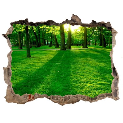 Dziura 3d w ścianie naklejka Zielony park w promieniach słońca