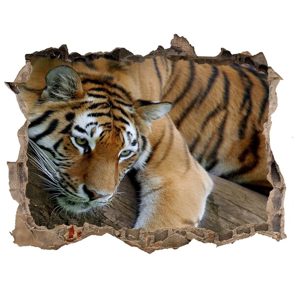 Vinilo pared rota 3d efecto realista Tigre en su hábitat natural