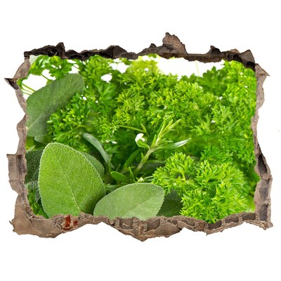 Trampantojo de pared rota efecto profundidad Un oasis verde en hormigón