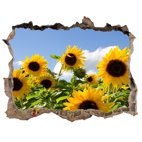 Trampantojo de pared rota efecto profundidad Girasoles a la luz del día