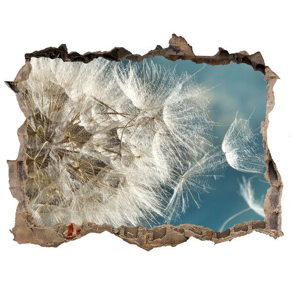 Vinilo pared rota 3d efecto realista Dientes de león contra el cielo