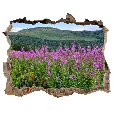 Vinilo pared rota 3d efecto realista Paisaje floral en las montañas