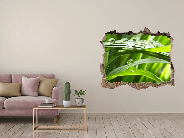 Pegatina de vinilo agujero 3d para pared Prado verde con gotas de agua