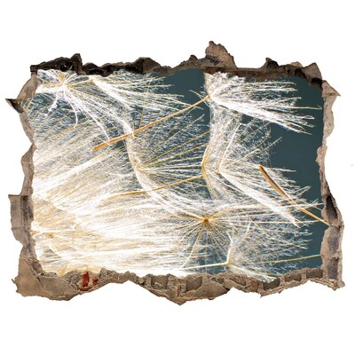 Trampantojo de pared rota efecto profundidad Un paisaje floral detrás del agujero