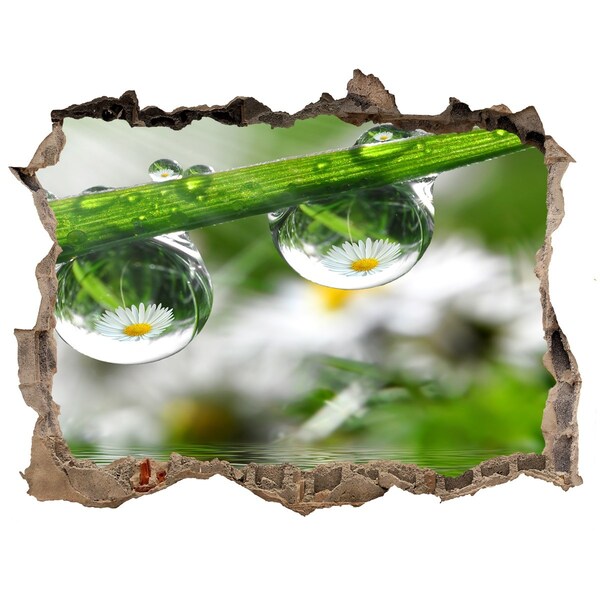 Vinilo pared rota 3d efecto realista Oasis floral con gotas de agua