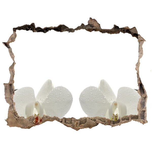 Pegatina agujero en la pared autoadhesiva Flores en hormigón