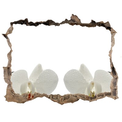 Pegatina agujero en la pared autoadhesiva Flores en hormigón