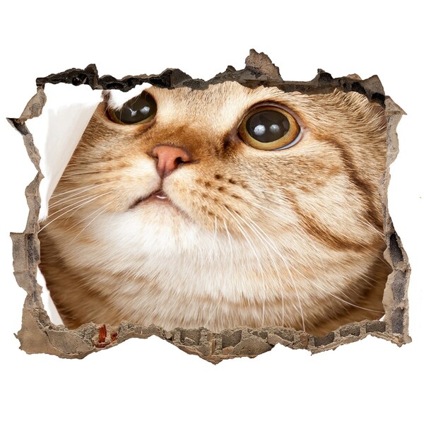 Pegatina agujero en la pared autoadhesiva Gato en un agujero en la pared