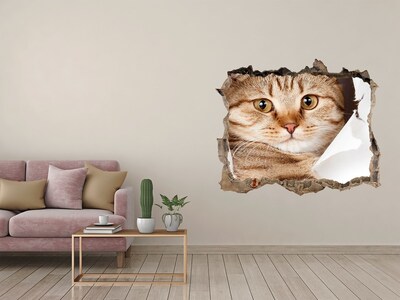 Vinilo pared rota 3d efecto realista Gato en un agujero en la pared