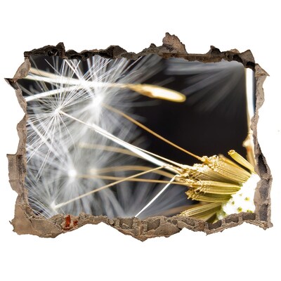 Pegatina agujero en la pared autoadhesiva Sueño de flores a través de un agujero en la pared