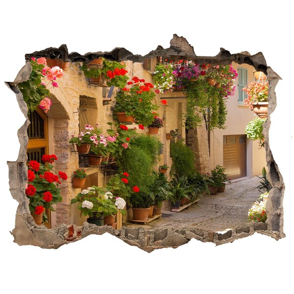 Vinilo pared rota 3d efecto realista Una encantadora calle con flores
