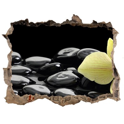 Trampantojo de pared rota efecto profundidad Relájese en el spa