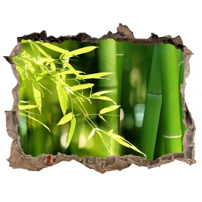 Pegatina agujero en la pared autoadhesiva Bosque de bambú verde