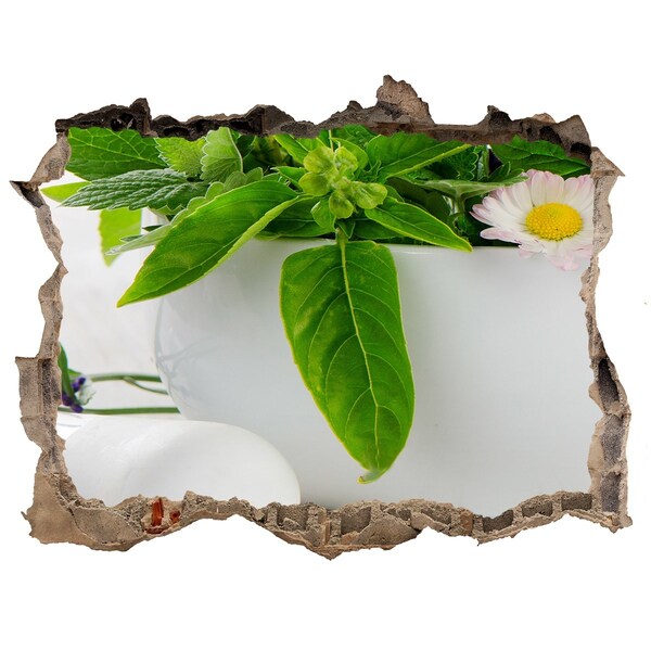 Trampantojo de pared rota efecto profundidad Vegetación verde en el muro dañado