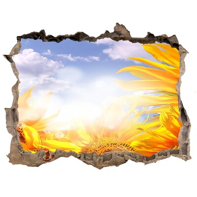 Samoprzylepna dziura naklejka Słoneczniki w świetle słońca